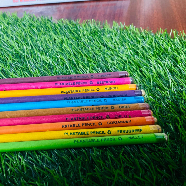 Eco-Friendly Pencils – Sustainable, Recycled, and Biodegradable Writing Tools for School, Office, and Corporate Branding
